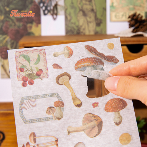 Auralis Jornual Scrapbook Seti