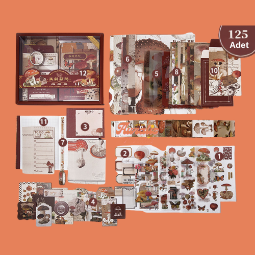 Auralis Jornual Scrapbook Seti